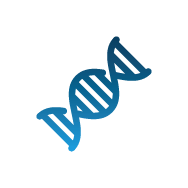 Представяне на наследствеността като причина за болки в краката в резултат на хронична венозна недостатъчност