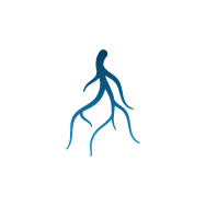 Икона на венозната система